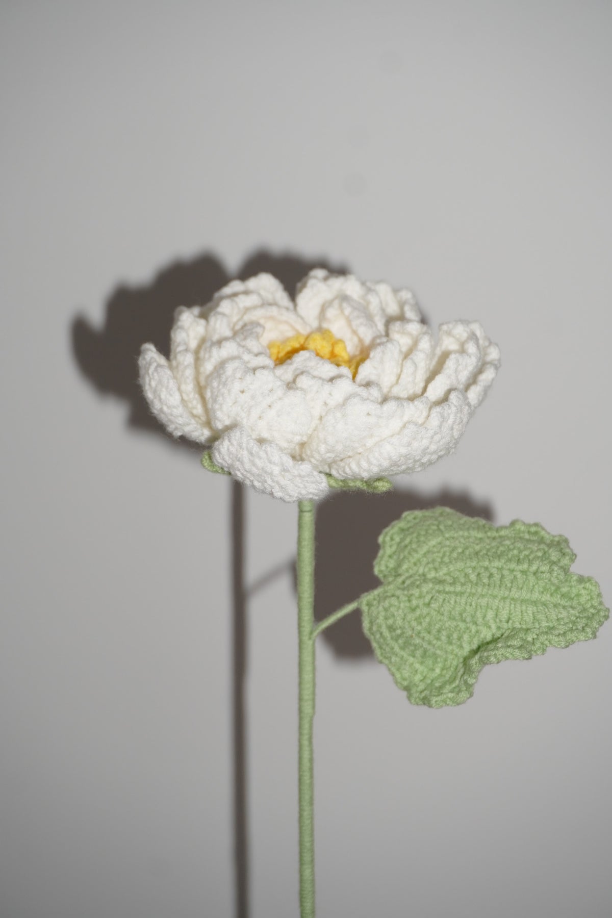 Peonía Tejida en Crochet color blanca – Olga's Gallery