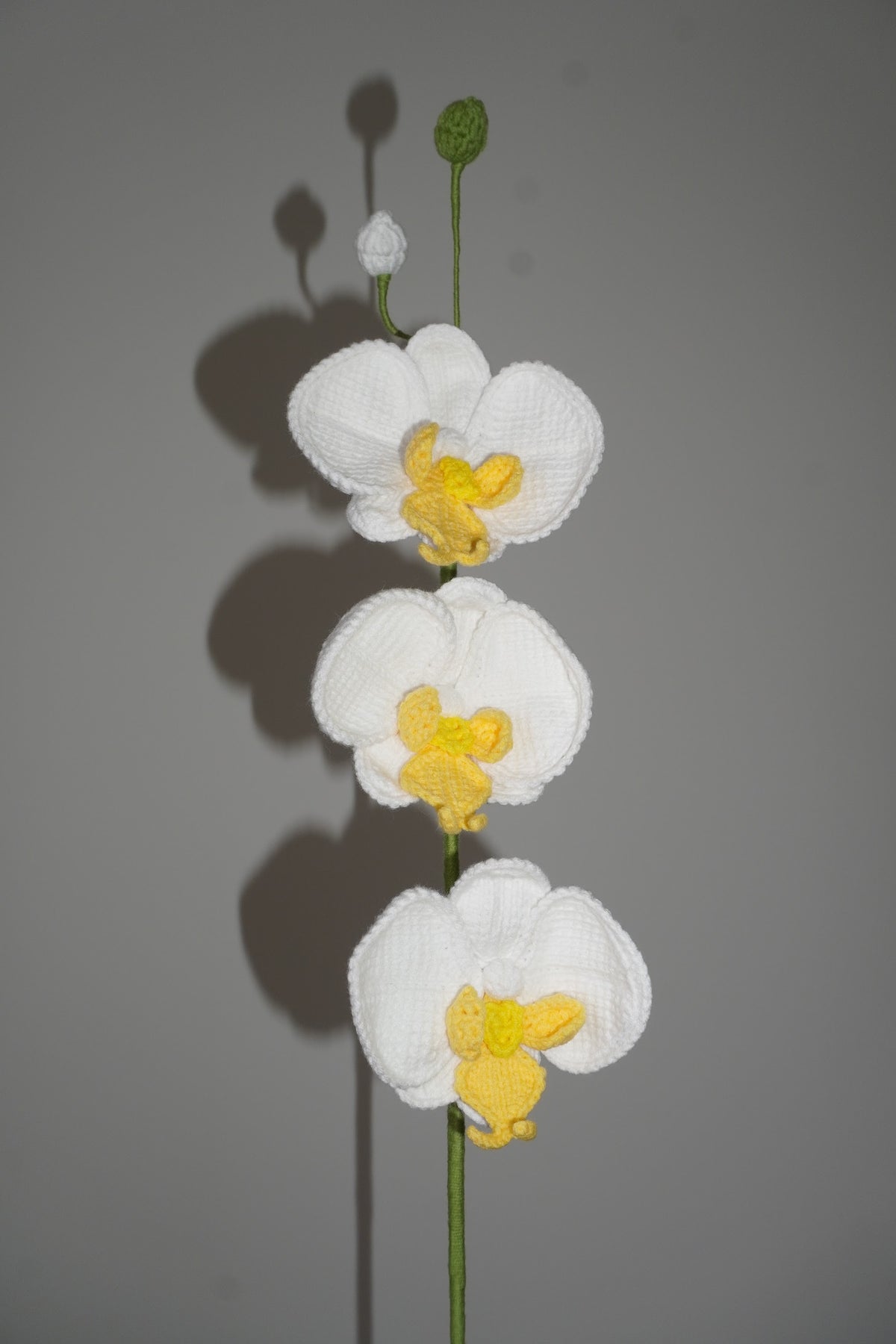 Orquídea Tejida en Crochet color blanca – Olga's Gallery