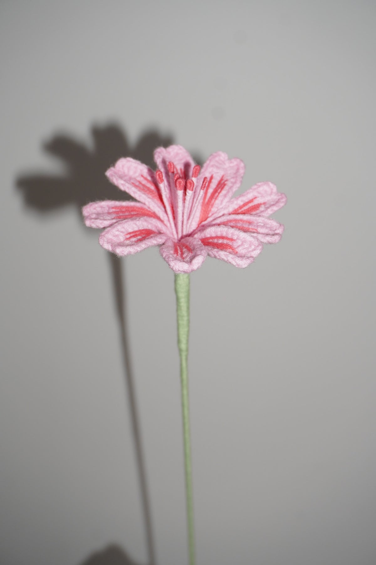 Azafrán Tejido en Crochet color rosado – Olga's Gallery