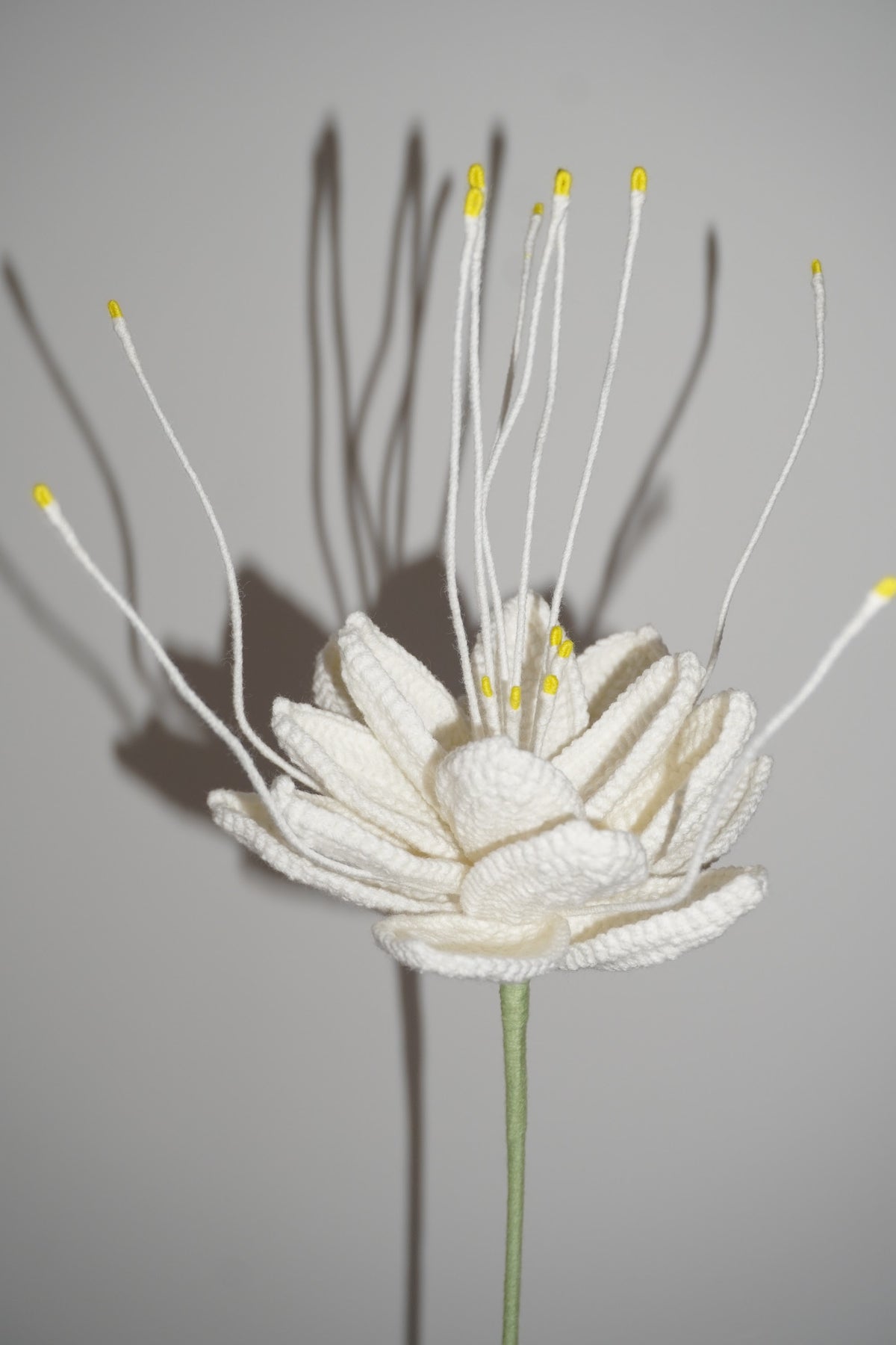 Flor de Loto Tejida en Crochet color blanca – Olga's Gallery
