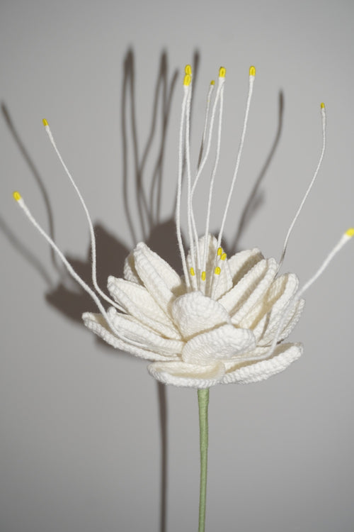 Flor de Loto Tejida en Crochet color blanca – Olga's Gallery