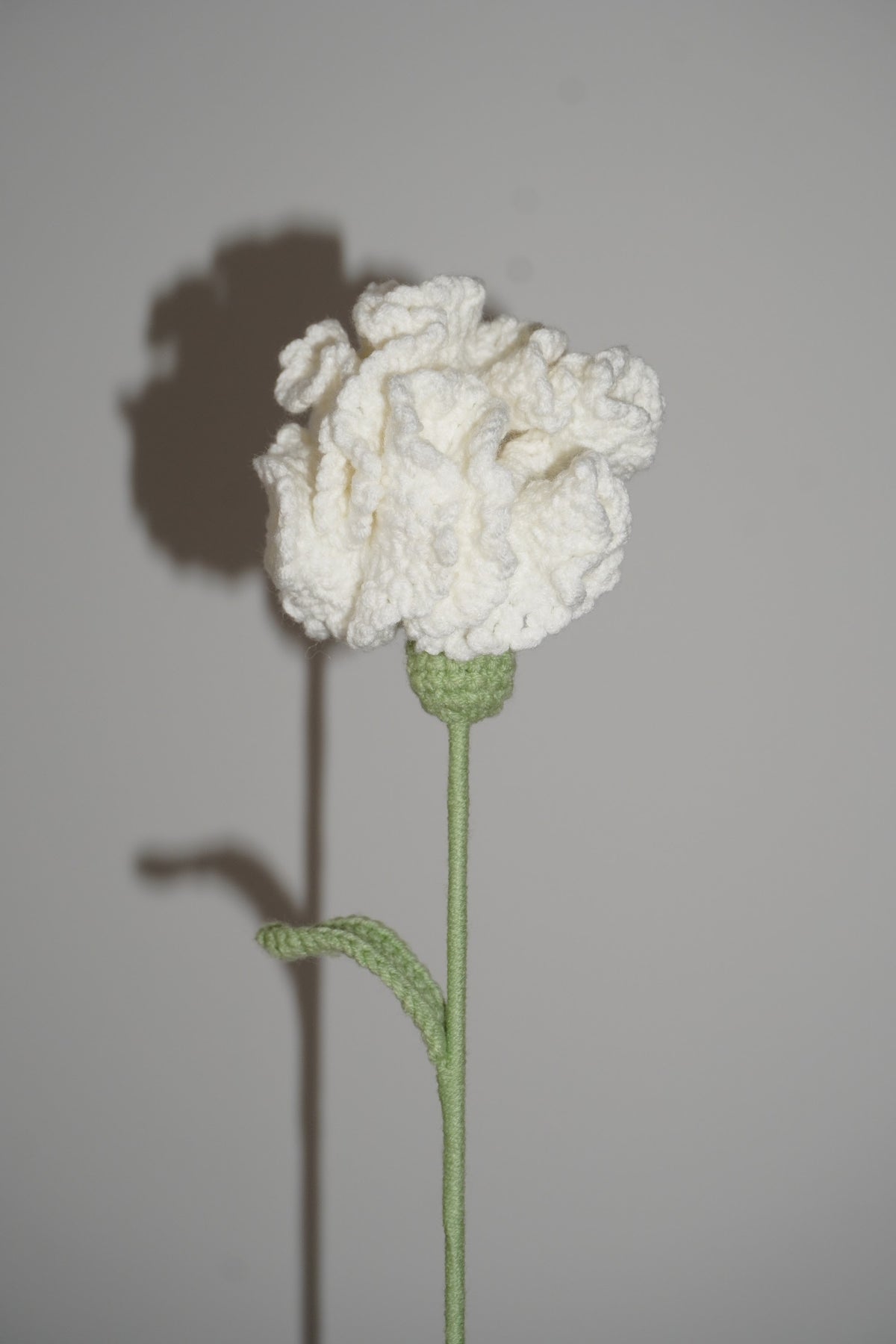 CLAVEL BLANCO en crochet – Ramo Sol de Medianoche