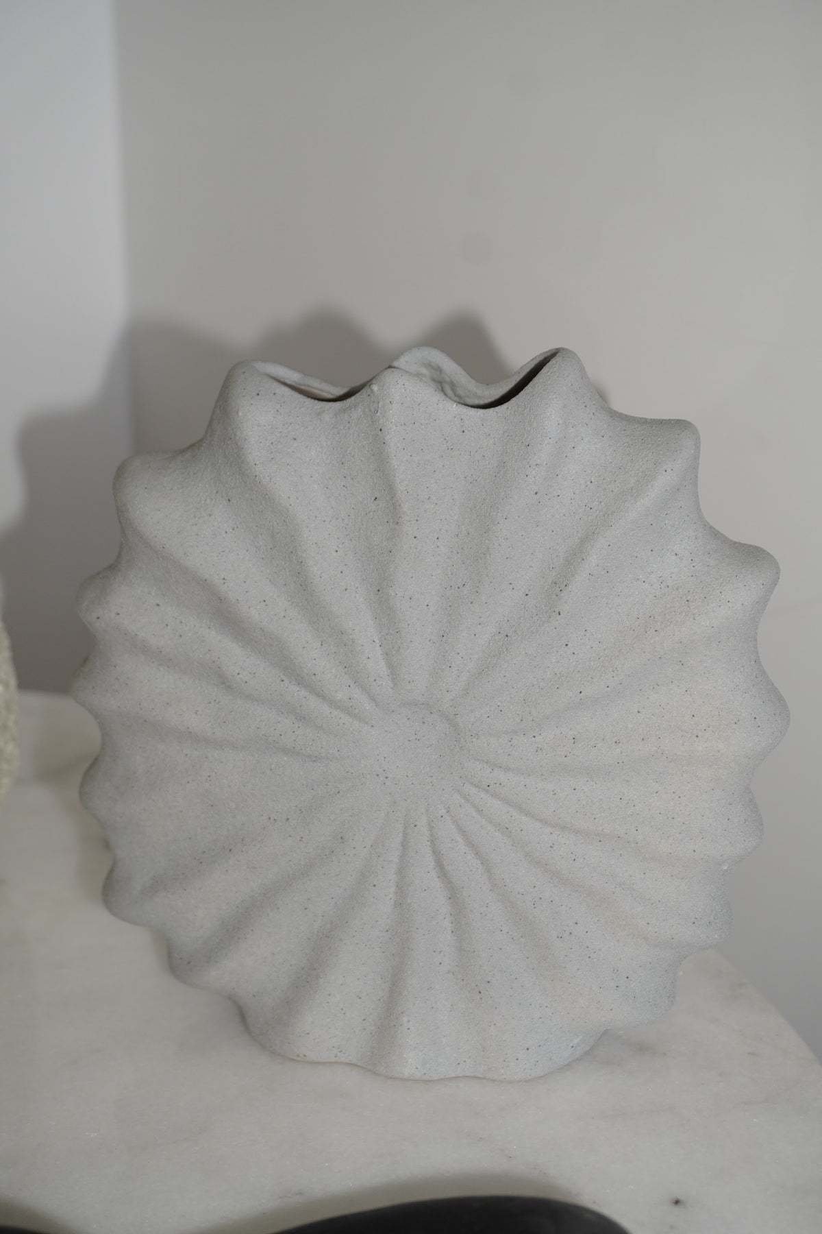Jarrón Concha Gris – Olga's Gallery