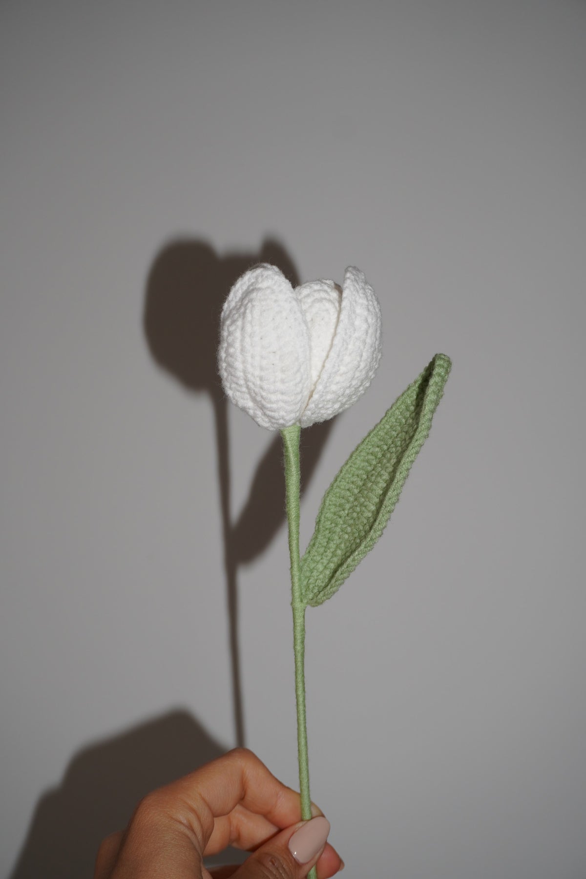 Tulipán Tejido en Crochet color blanco – Olga's Gallery