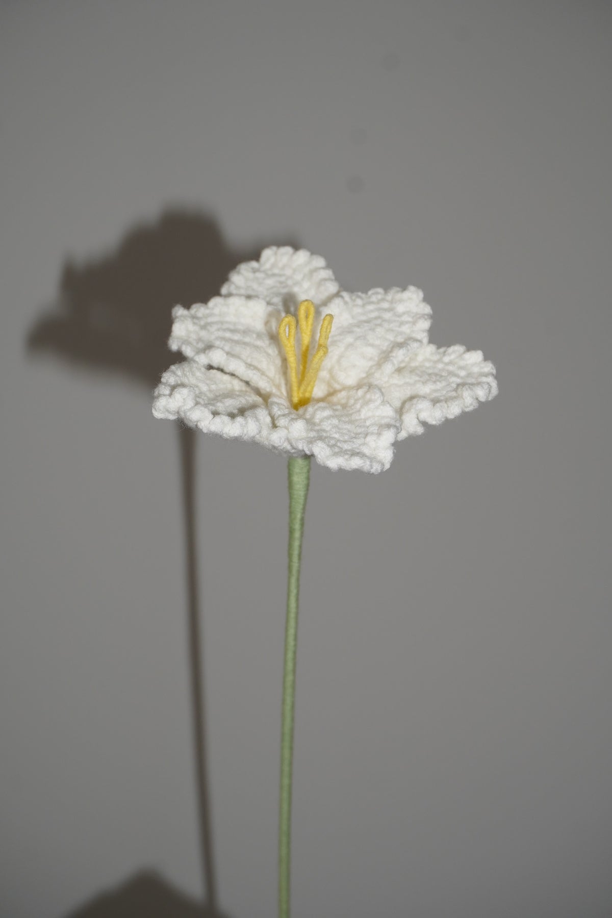 Lirio Iris Tejido en Crochet color blanco – Olga's Gallery