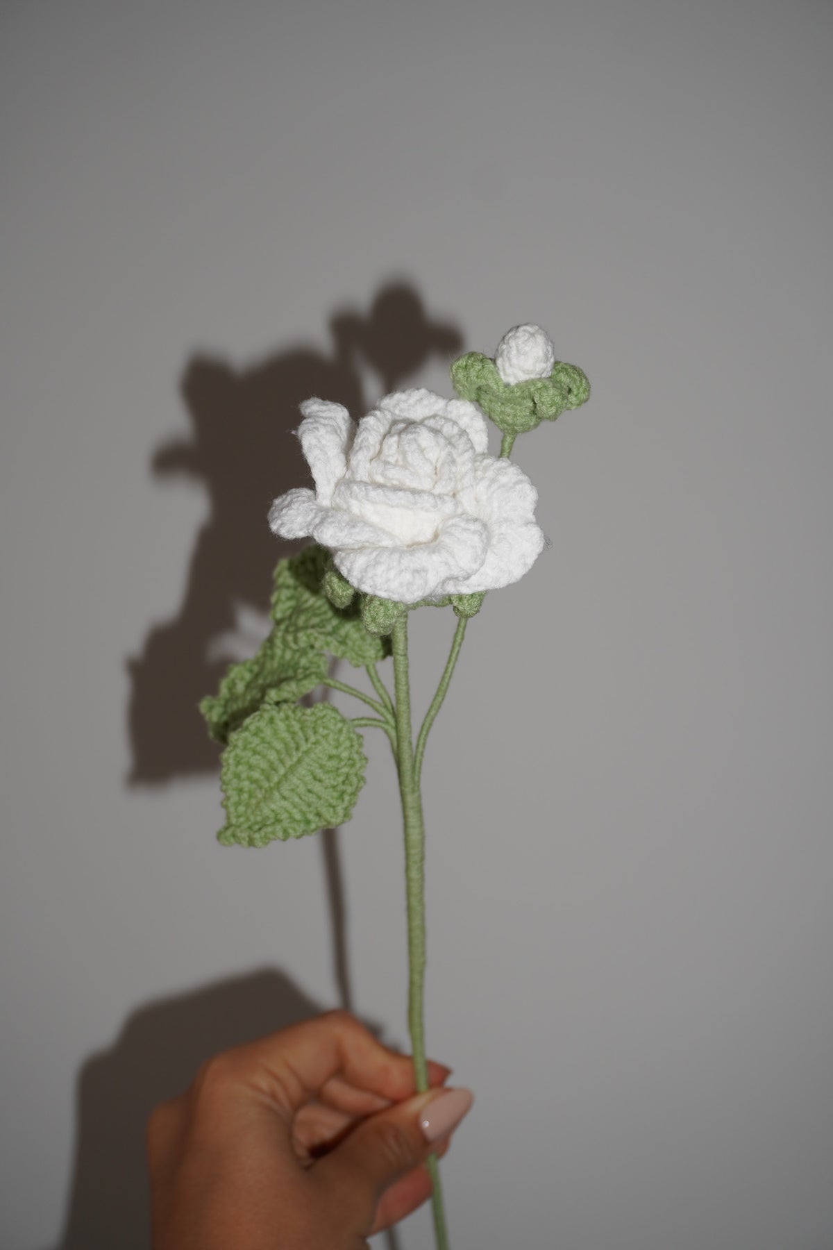 Rosa con Capullo Tejida en Crochet color blanca – Olga's Gallery